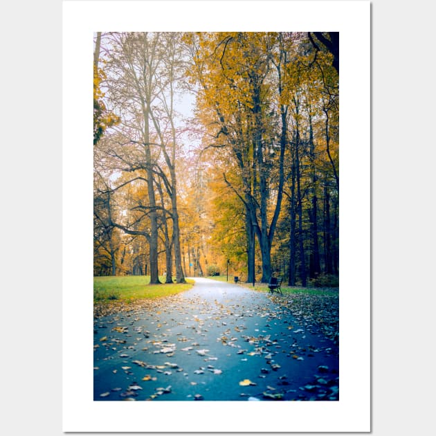 A path through the park in the colors of golden Polish autumn Wall Art by Czajnikolandia